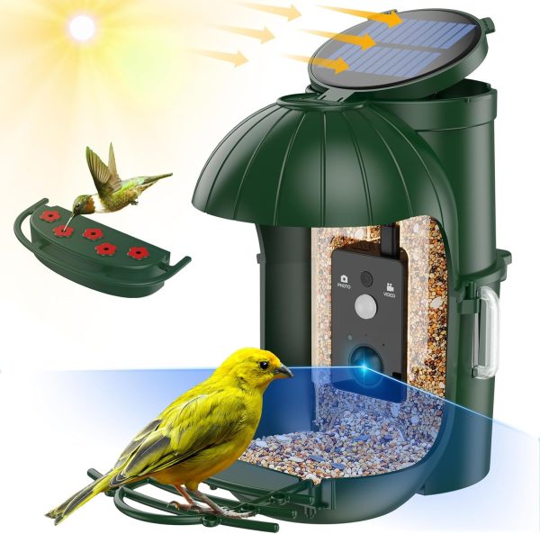 Comederos para pájaros con alimentación Solar y cámara, grabación automática de vídeo/Fotos